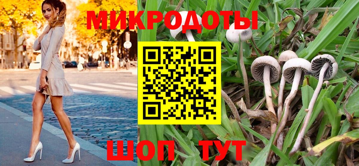 Волжск  Псилоцибиновые грибы Cubensis  Вход с VPN 